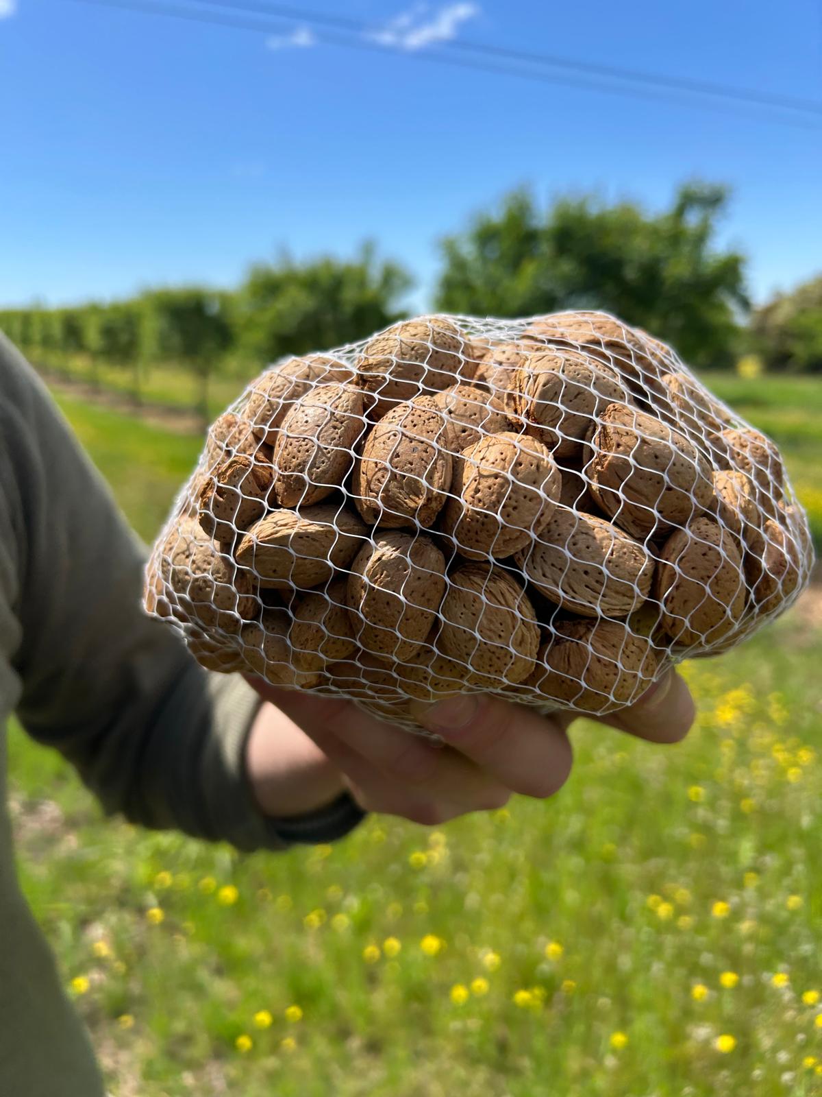 1e8192423eaf155d9720ea8ae1b0a955d7848703